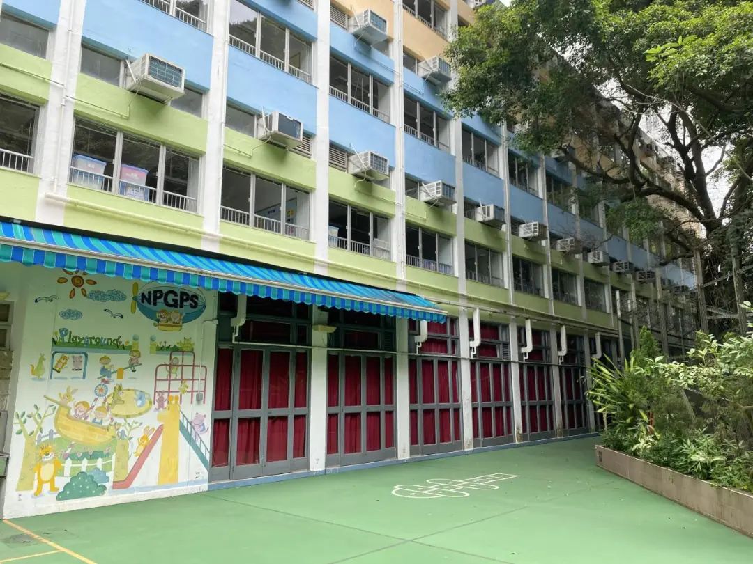 image1.jpeg